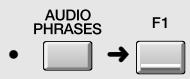 ROLAND MV-8000 - AUDIO Phrases (PAD) - 2