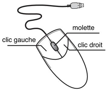 ROLAND MV-8000 - Souris - 1