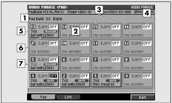 ROLAND MV-8000 - AUDIO Phrases (PAD) - 1