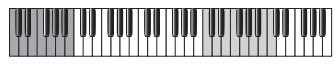 ROLAND MV-8000 - Patches et partiels - 2