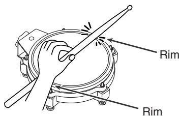 ROLAND PD-85 - Cross Stick - 1