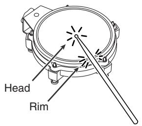 ROLAND PD-85 - Rim Shots - 1