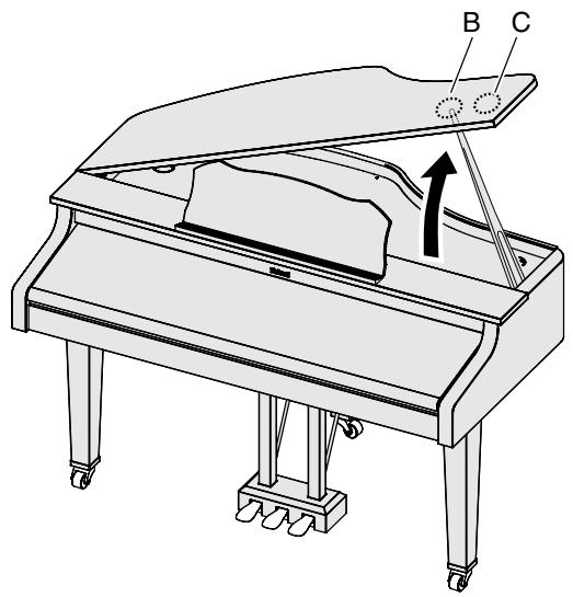 ROLAND RG-3 - CAUTION - 1