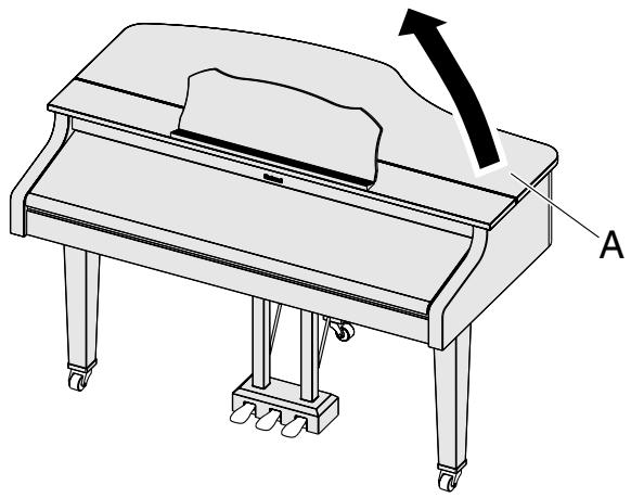 ROLAND RG-3 - WARNING - 1