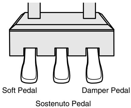ROLAND RG-3 - About the Pedals - 1