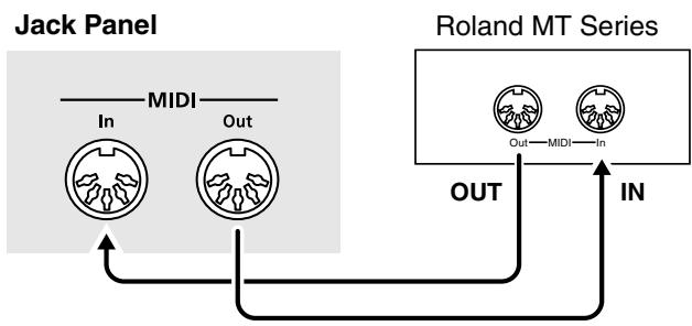 ROLAND RG-3 - Connection Examples - 1