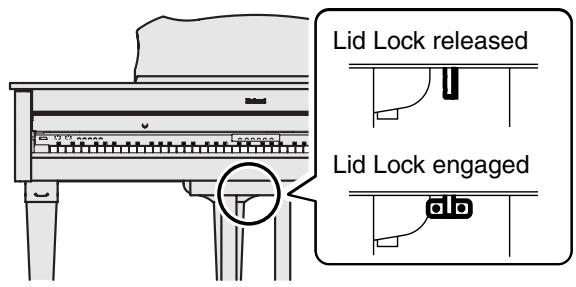 ROLAND RG-3 - Using the Lid Lock - 1