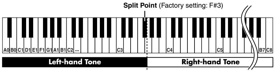 ROLAND RG-3 - Playing Different Tones with the Left and Right Hands (Split Performance) - 1