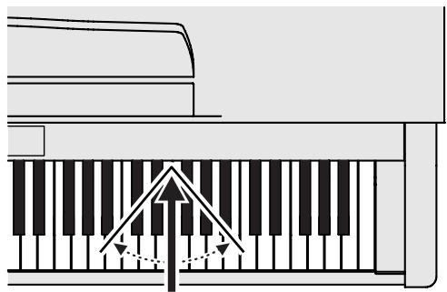 ROLAND RG-3 - How to Use the Remote Control - 2