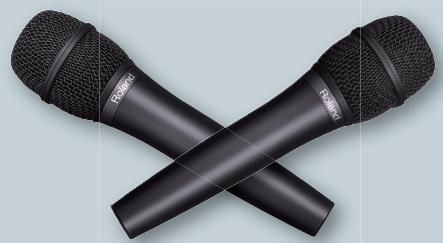 ROLAND RK-500 - Connect your microphones! - 1