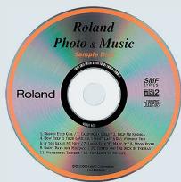 ROLAND RK-500 - Explanation - 1