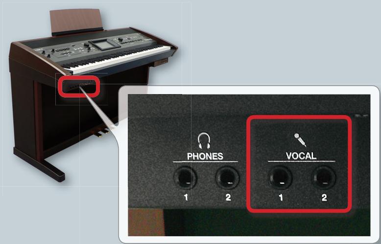 ROLAND RK-500 - Connect your microphones! - 2