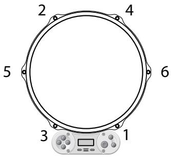 2 4 5 6 3 1