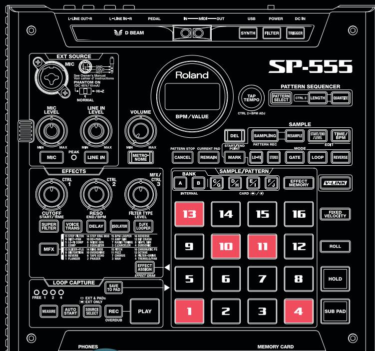 ROLAND SP-555 - 2