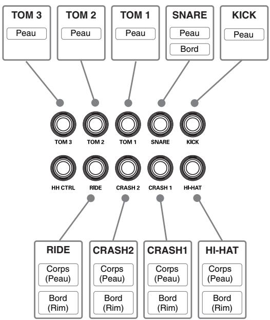 ROLAND TD-3 - Fonctions des entrées de capteur - 1
