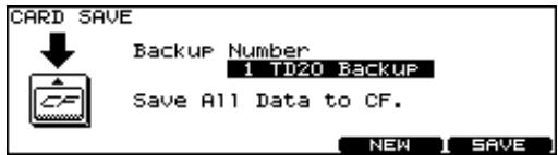 ROLAND TDW-20 - IMPORTANT! Backing Up Your Data - 2