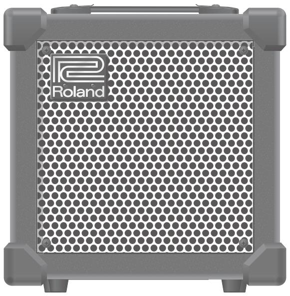 ROLAND CUBE-20XL - IMPORTANT SAFETY INSTRUCTIONS SAVE THESE INSTRUCTIONS - 1