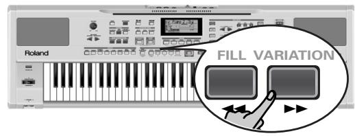 ROLAND EXR-7 - Punch I/O - 3