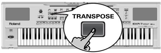 ROLAND EXR-7 - Transpose - 1