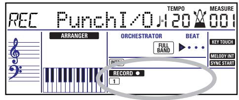 ROLAND EXR-7 - Punch I/O - 1