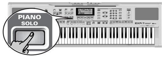 ROLAND EXR-7 - Jeu sans accompagnement - 1