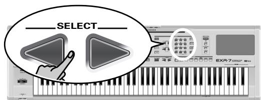 ROLAND EXR-7 - Punch I/O - 2