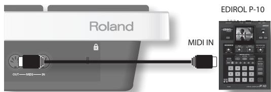 ROLAND OCTAPAD SPD-30 - Connection example - 1