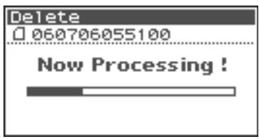ROLAND R-44 - Deleting a Project (Delete) - 10