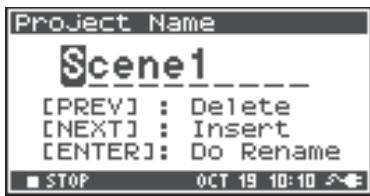 ROLAND R-44 - Project Name Settings - 4