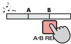 ROLAND R-44 - Repeat Playback (A-B REPEAT) - 2