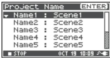 ROLAND R-44 - Project Name Settings - 3