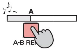 ROLAND R-44 - Repeat Playback (A-B REPEAT) - 1