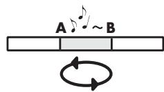 ROLAND R-44 - Repeat Playback (A-B REPEAT) - 3
