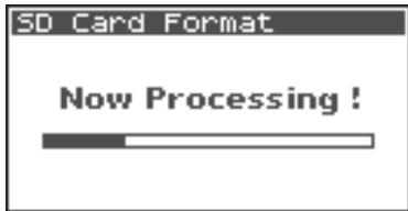 ROLAND R-44 - Formatting and Checking the SD Memory Card - 5