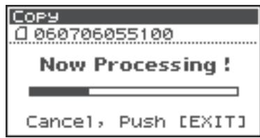 ROLAND R-44 - Copying a Project (Copy) - 10