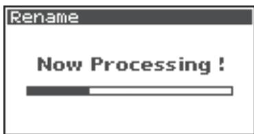 ROLAND R-44 - Renaming a Project (Rename) - 10