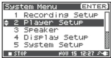 ROLAND R-44 - Player Setup - 2