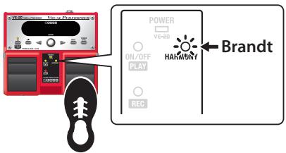 ROLAND VE-20 - De HARMONY-pedaal gebruiken - 1
