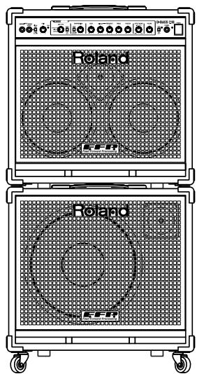 ROLAND D-BASS 115 - The Optimal Powered Extension Speaker for the D-BASS 210/115 - 1
