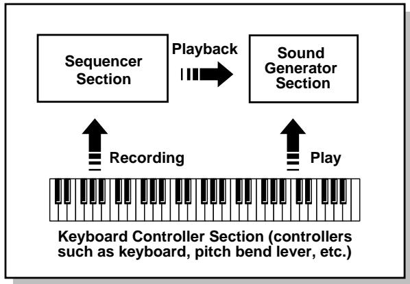 ROLAND FANTOM - Basic Structure - 1