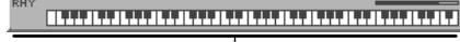 ROLAND FANTOM - Functions in the PERFORMANCE PLAY Screen - 2