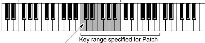 ROLAND FANTOM - NOTE - 1
