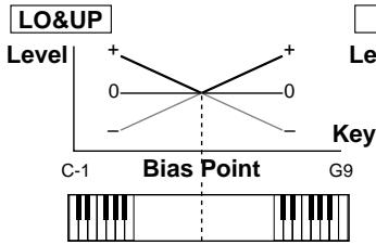 ROLAND FANTOM - Bias - 3