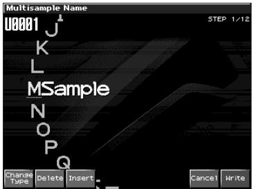 Multisample Name U0001 J K L MSample N O P Q Change Type Delete Insert Cancel Write STEP 1/12