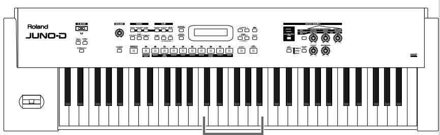ROLAND JUNO D - Playing a chord at the touch of a finger (Multi-chord Memory) - 2