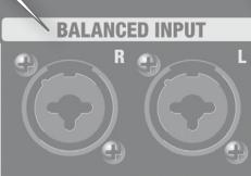 ROLAND CM-220 - PHONES-ingang - 3