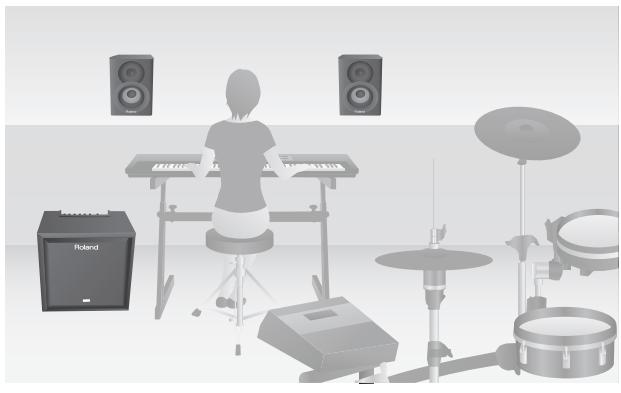 ROLAND CM-220 - Para instrumentos musicais - 1