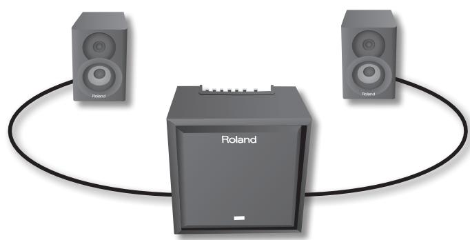 ROLAND CM-220 - Bedienungsanleitung - 1