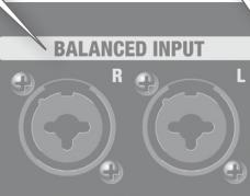 ROLAND CM-220 - Conector PHONES - 3
