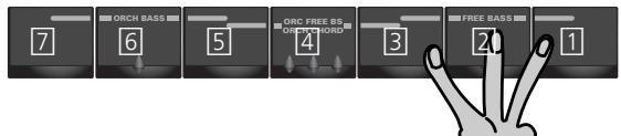 ROLAND FR-3SB - Jeu en mode de basses libres - 1